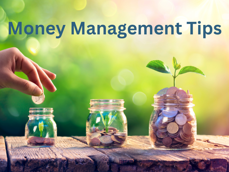 Image of three jars with coins in them and a plant growing from the largest one.